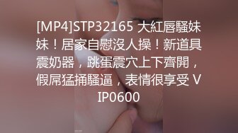 [MP4]STP32165 大紅唇騷妹妹！居家自慰沒人操！新道具震奶器，跳蛋震穴上下齊開，假屌猛捅騷逼，表情很享受 VIP0600