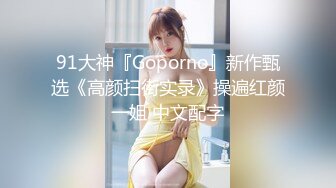 91大神『Goporno』新作甄选《高颜扫街实录》操遍红颜一姐 中文配字