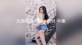 大屌网黄约操小粉丝 中集