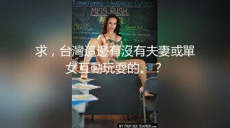 求，台灣這邊有沒有夫妻或單女互動玩耍的。？