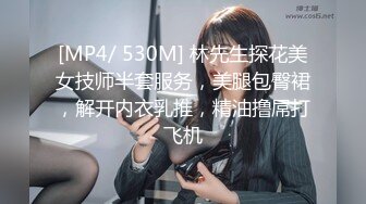 [MP4/ 530M] 林先生探花美女技师半套服务，美腿包臀裙，解开内衣乳推，精油撸屌打飞机