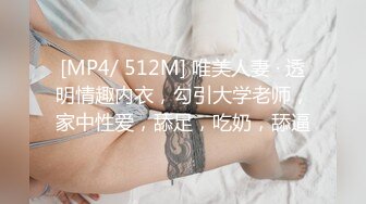 [MP4/ 512M] 唯美人妻 · 透明情趣内衣，勾引大学老师，家中性爱，舔足，吃奶，舔逼