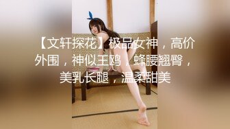 【文轩探花】极品女神，高价外围，神似王鸥，蜂腰翘臀，美乳长腿，温柔甜美