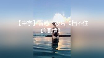 【中字】香港三级片《挡不住的風情》