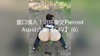 重口慎入！阴环拳交PiercedAspid合集 【54V】 (6)