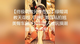 【终极调教另类性爱】绿帽调教天花板『J神』最强私拍翘美臀车窗外勾引路人被玩操潮喷 后入内射 (3)