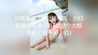 经典某县城办公楼蹲厕，少妇和熟女居多，看B能猜个大概年龄（无水印） (1)