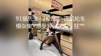 91猫先生~2K增强~迈凯轮车模杂集~感受异域风采，狂艹不止！