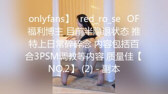 onlyfans】⭐red_ro_se⭐OF福利博主 目前半隐退状态 推特上日常碎碎念 内容包括百合3PSM调教等内容 质量佳【NO.2】 (2) - 副本