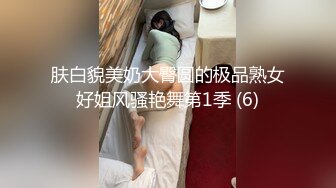 肤白貌美奶大臀圆的极品熟女好姐风骚艳舞第1季 (6)