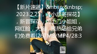 【新片速遞】&nbsp;&nbsp; 2023.2.21，【小斌哥探花】，新晋探花，约上门小姐姐，网红脸，大胸，预热场给兄弟们免费看[267MB/MP4/28:36]