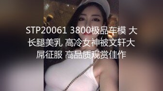 STP20061 3800极品车模 大长腿美乳 高冷女神被文轩大屌征服 高品质观赏佳作